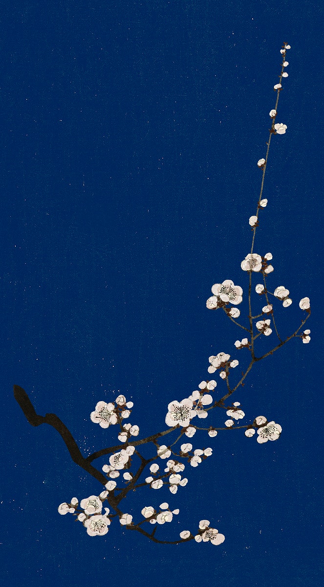 Traditional Japanese plum blossom mobile. Premium Photo Illustration