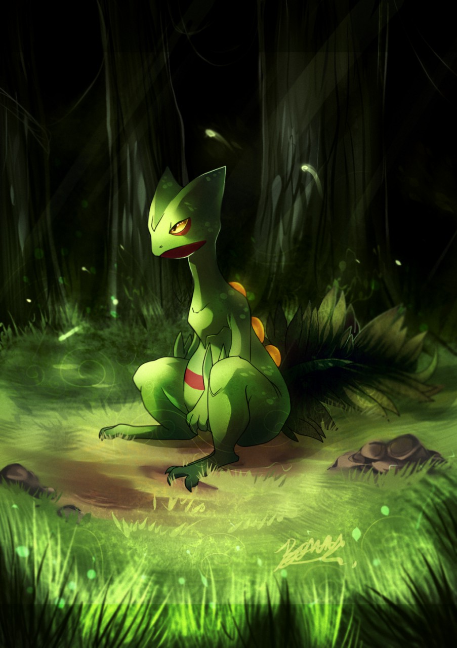 Sceptile Sceptile Fan Ary Wallpaper & Background Download