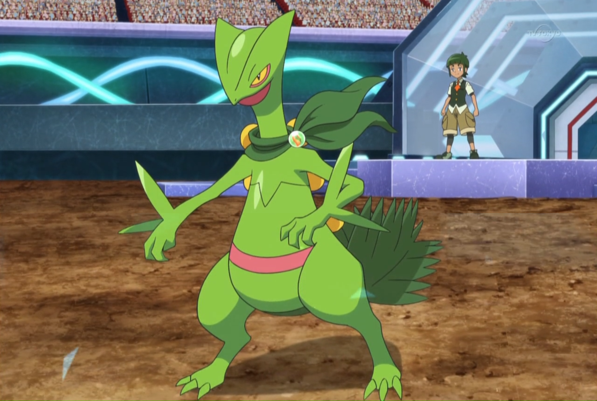 Sawyer's Sceptile. Pokémon