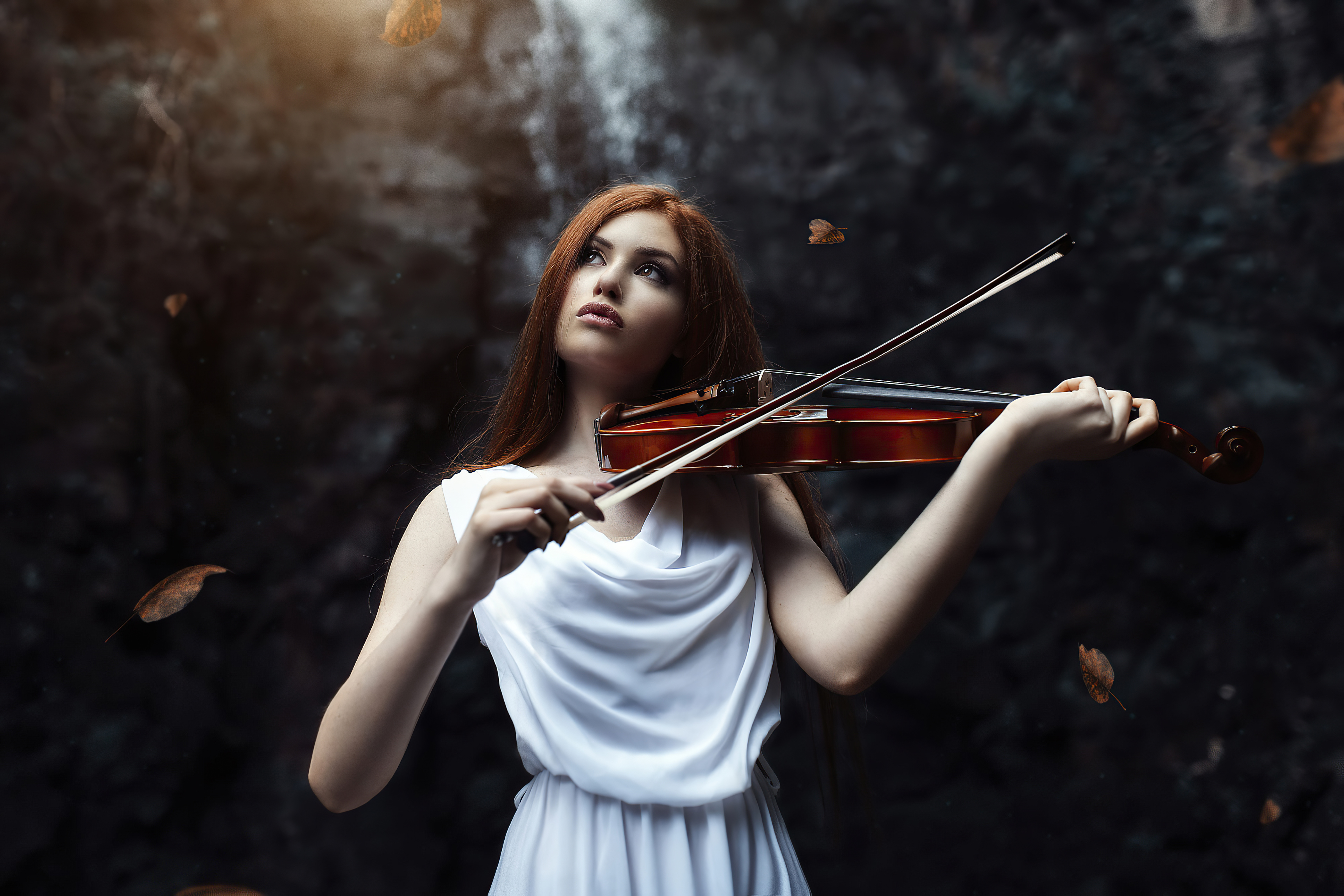 Playing Violin Photos, Download The BEST Free Playing Violin Stock Photos &  HD Images