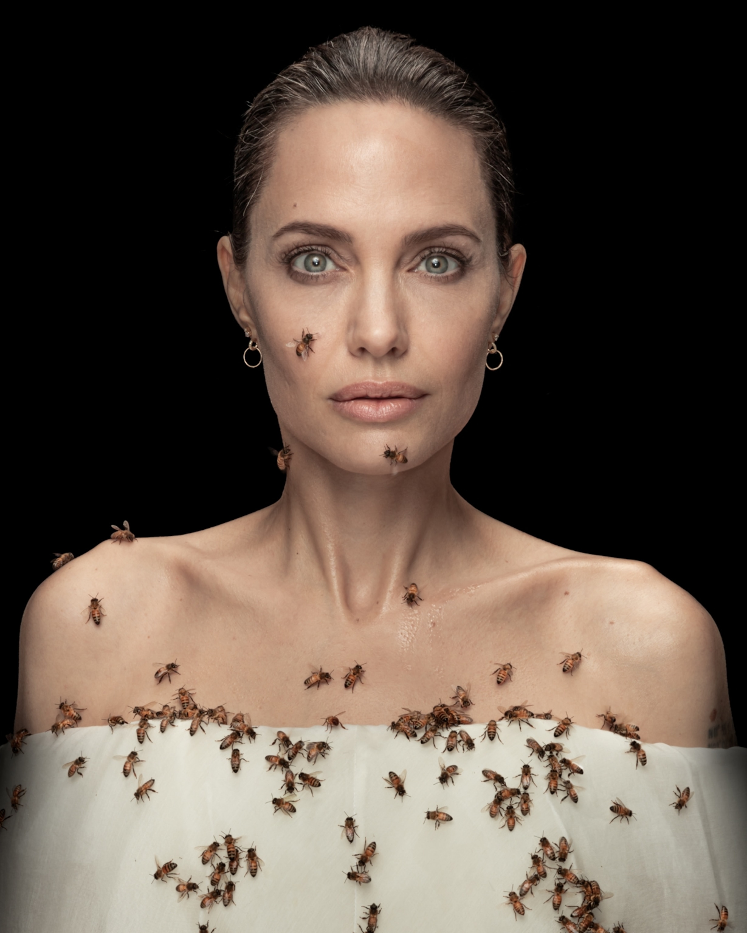 Angelina Jolie embraces bees—and female beekeepers as environmental guardians