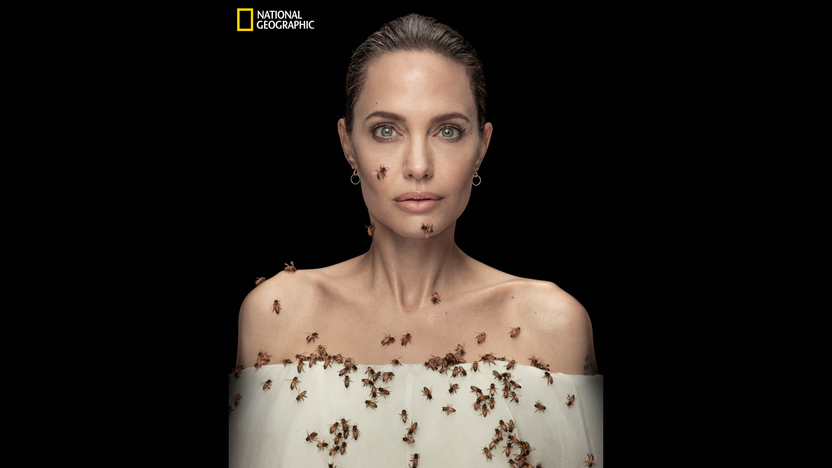 World Bee Day: Angelina Jolie poses with swarm of bees to highlight insects' importance in our environment