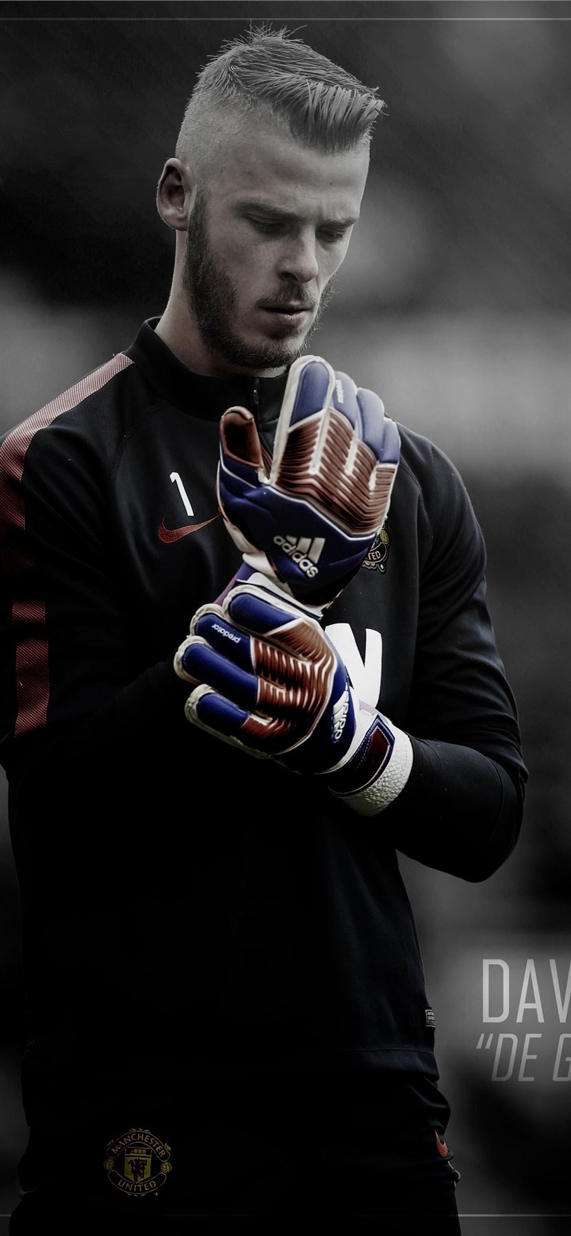 David De Gea HD Hd background iPhone 11 Wallpaper Free Download