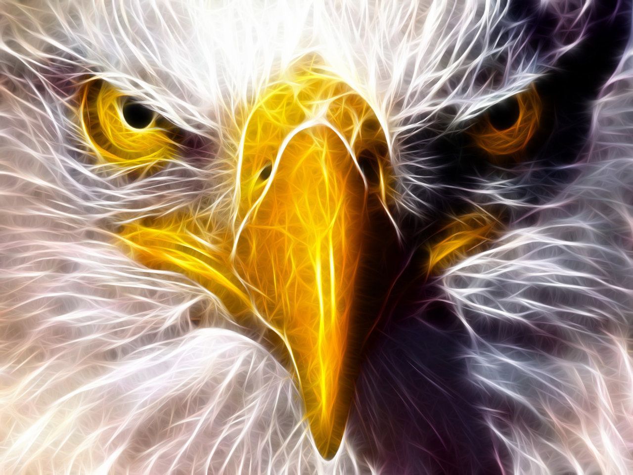 Eagle Eye HD Wallpaper