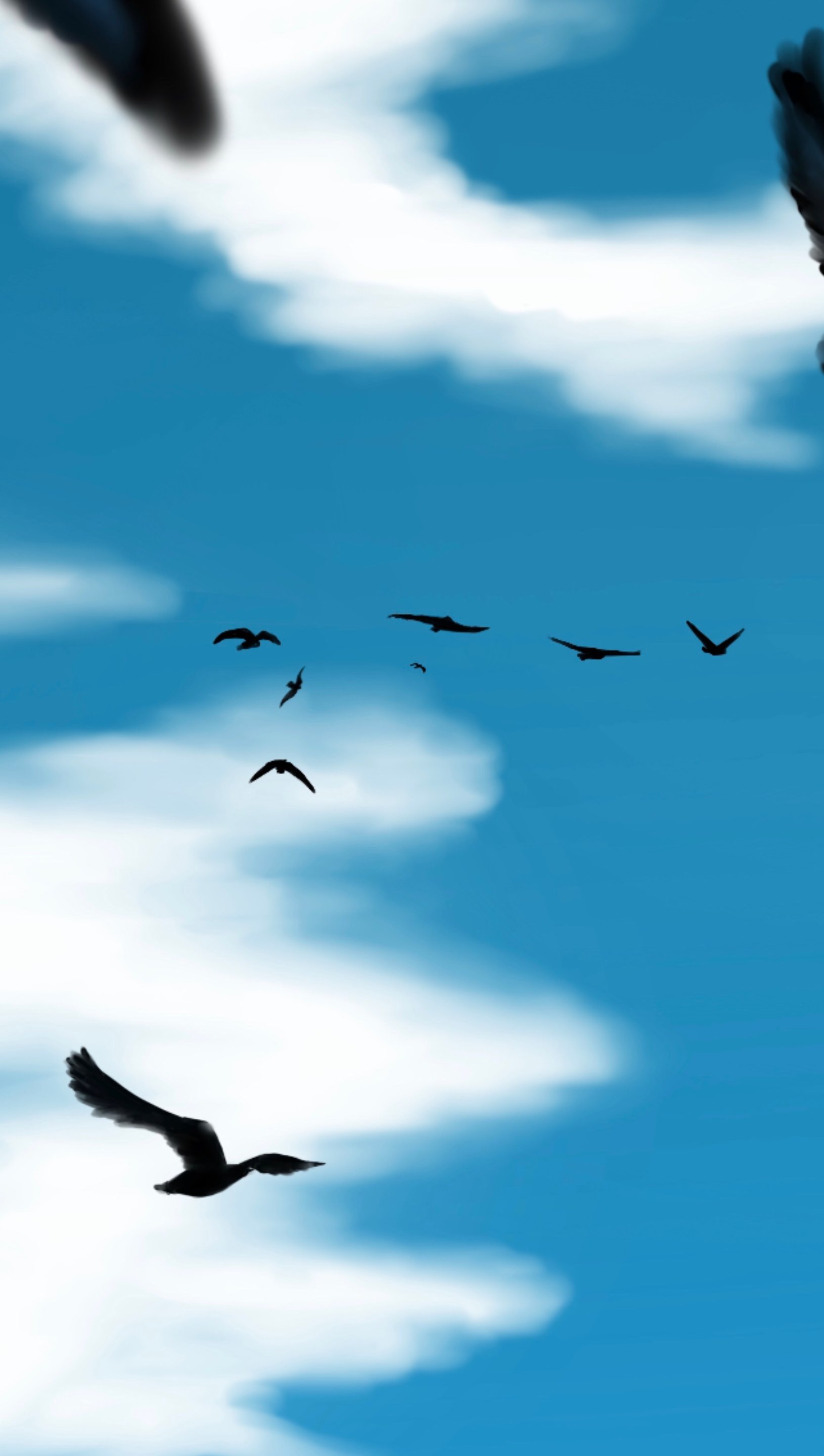Birds flying in the sky Wallpaper 5k Ultra HD
