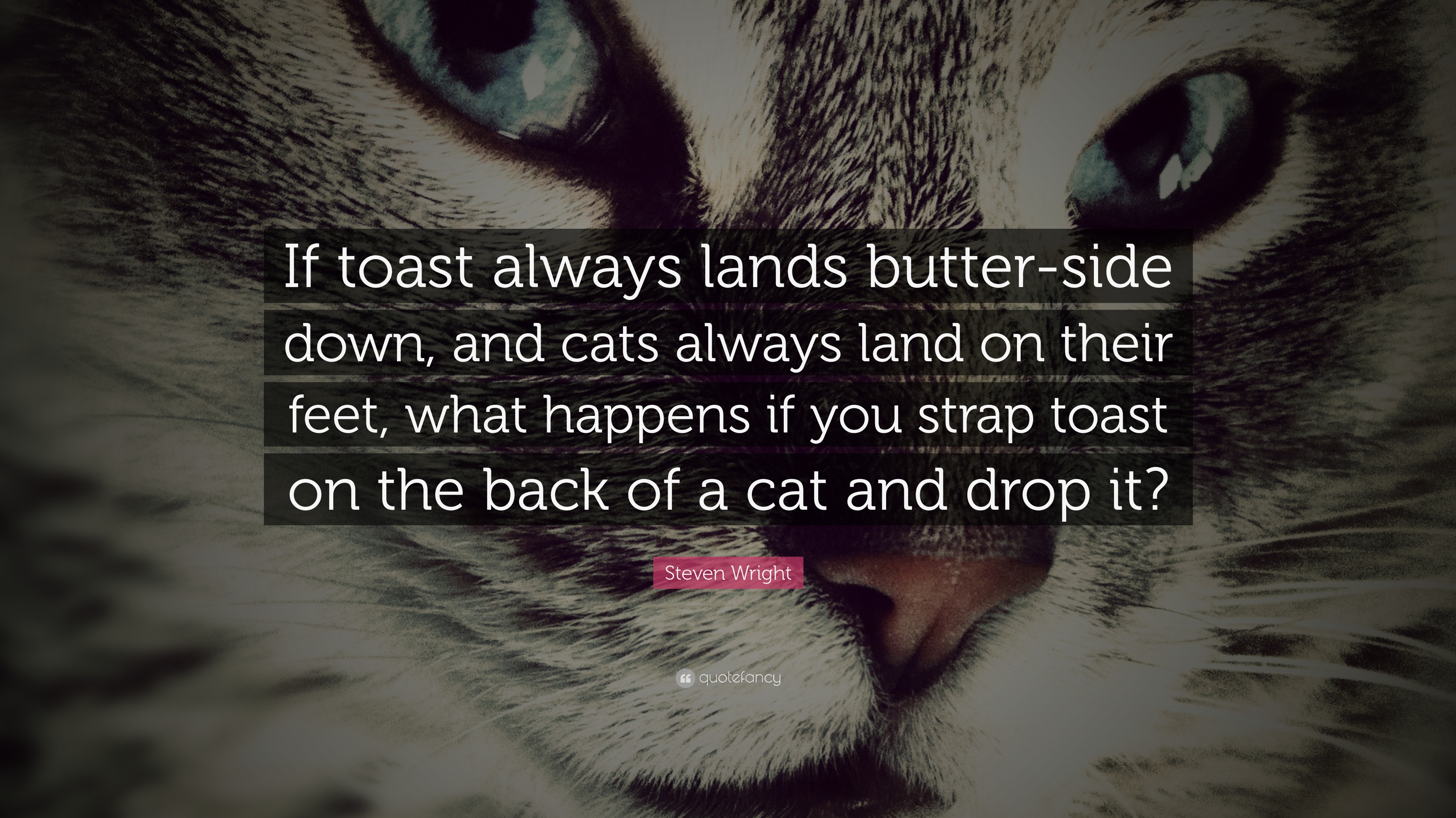 Steven Wright Quote: “If Toast Always Lands Butter Side Down, And Cats Always Land On Their Feet, What Happens If You Strap Toast On The Back .”