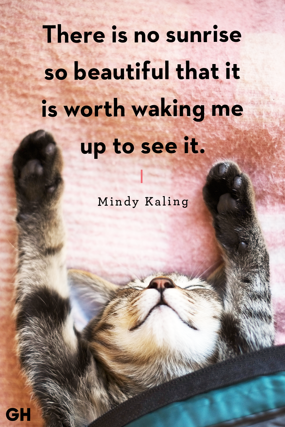 Sleep Quotes Good Night Quotes