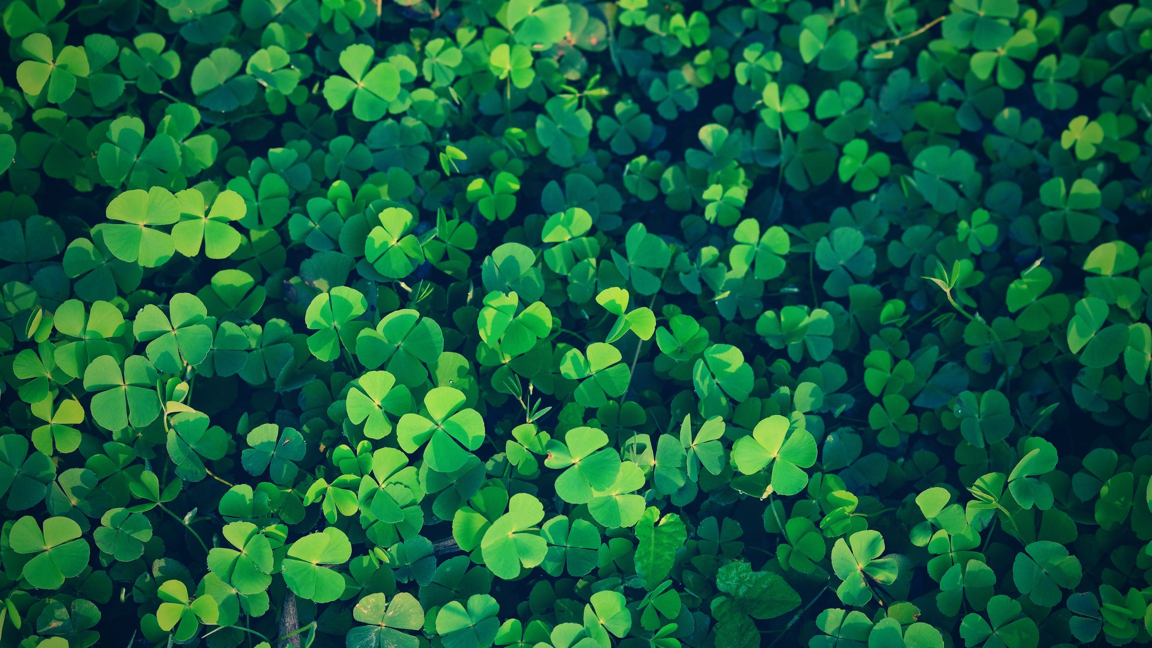St. Patrick's Day Quotes and Irish Blessings for Good luck
