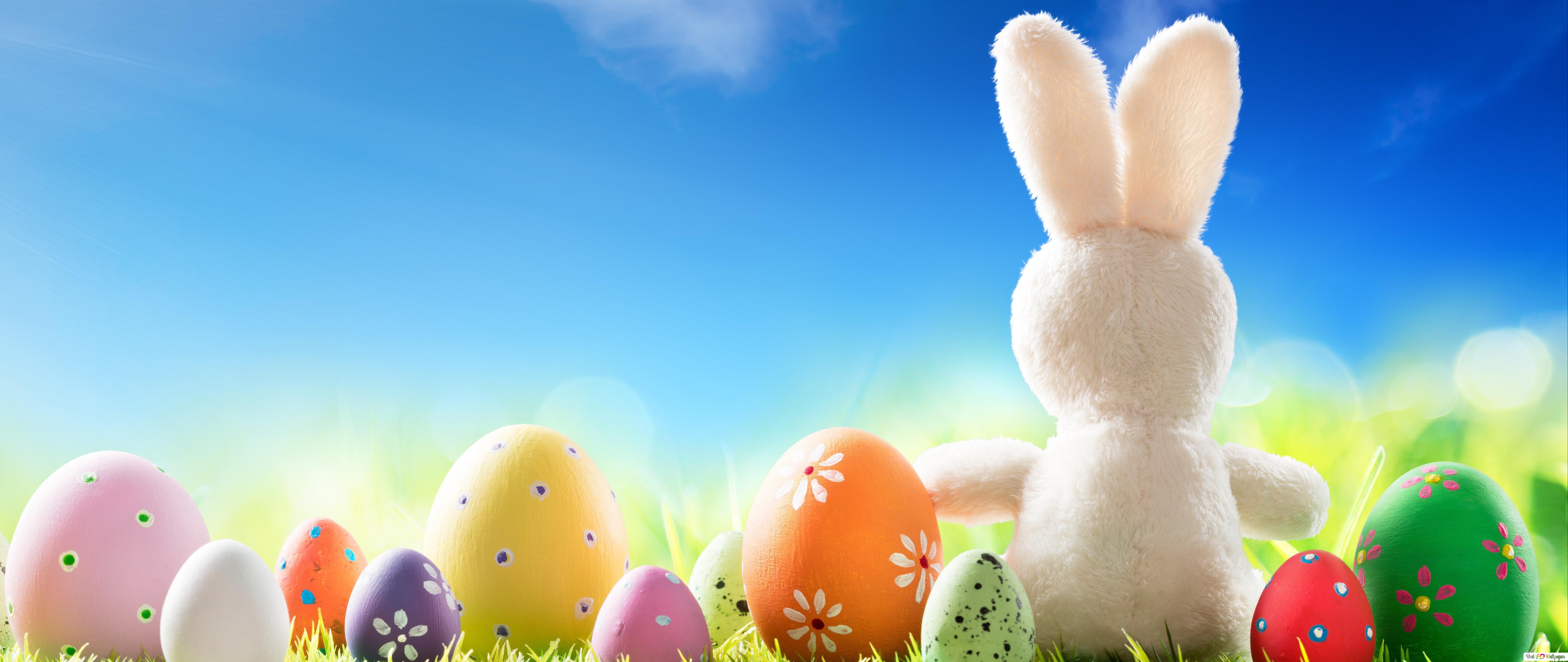 Easter Bunny & Eggs HD wallpaper download