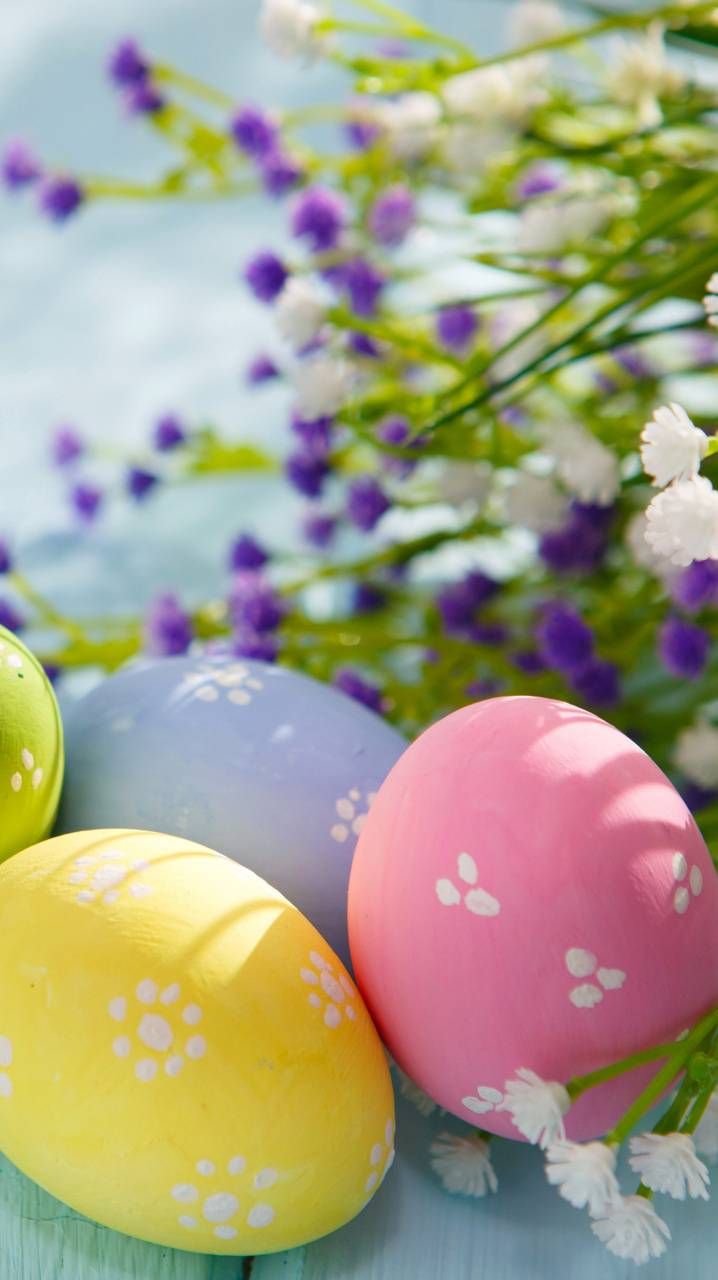 Download Easter wallpaper by Agaaa_K now. Browse millions of popular colors Wa. Happy easter wallpaper, Easter wallpaper, Easter background