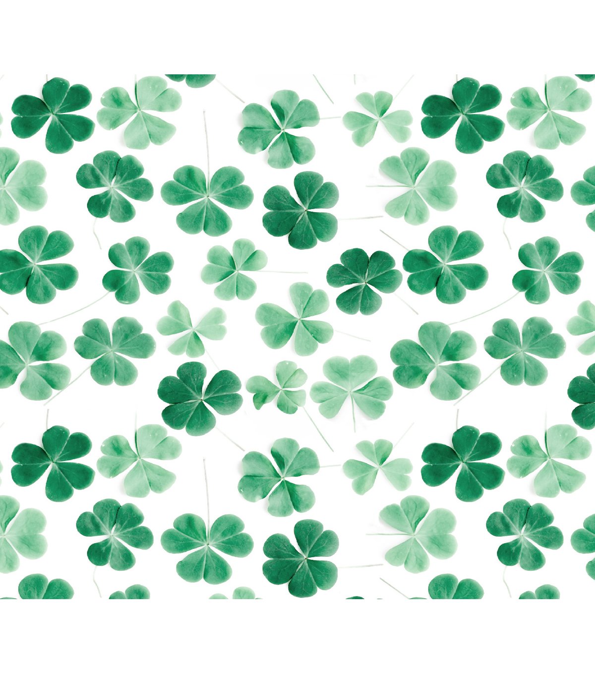 Free download St Patricks Day Cotton Fabric Photo Real Clovers On White JOANN [1200x1360] for your Desktop, Mobile & Tablet. Explore Carnations Saint Patrick's Day Wallpaper. Carnations Saint Patrick's