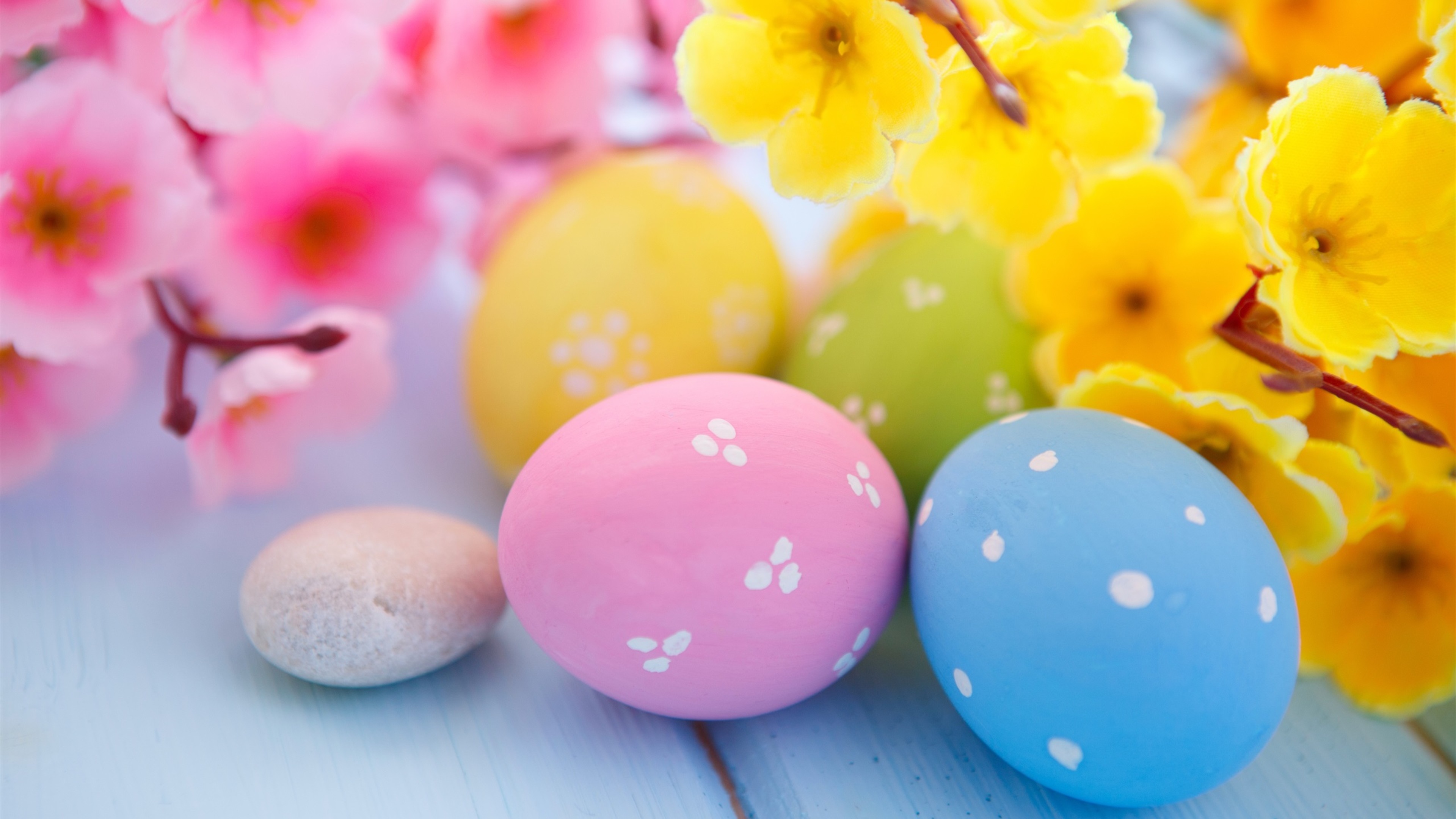 Easter Eggs and Spring Blossoms 4k HD 4k Wallpaper, Image, Background, Photo and Picture