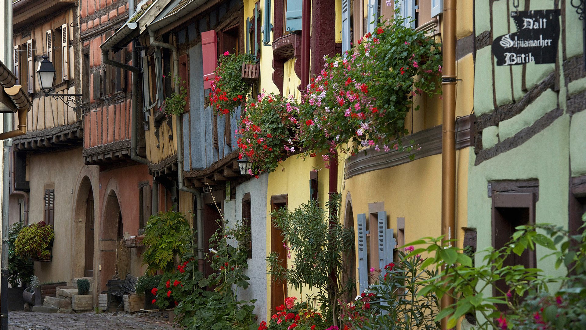 Eguisheim, France HD Wallpaper