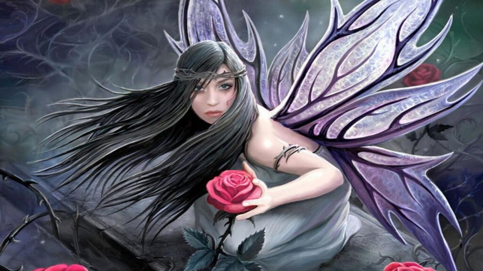 Anne Stokes Fairy with Rose Image