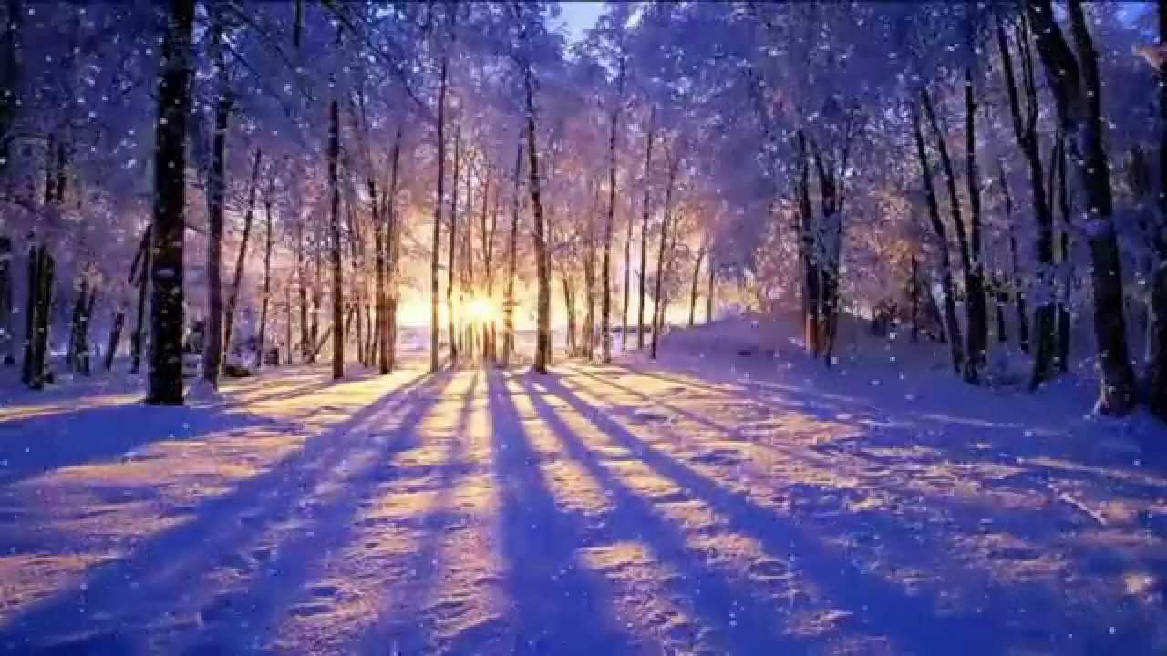 Winter Sunset + Animated Desktop Wallpaper + Dreamscapes + Stardock