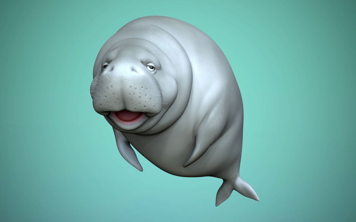 Wallpaper Dugong, 3D Modeling, FBX, Virtual Reality, Head, Background Free Image