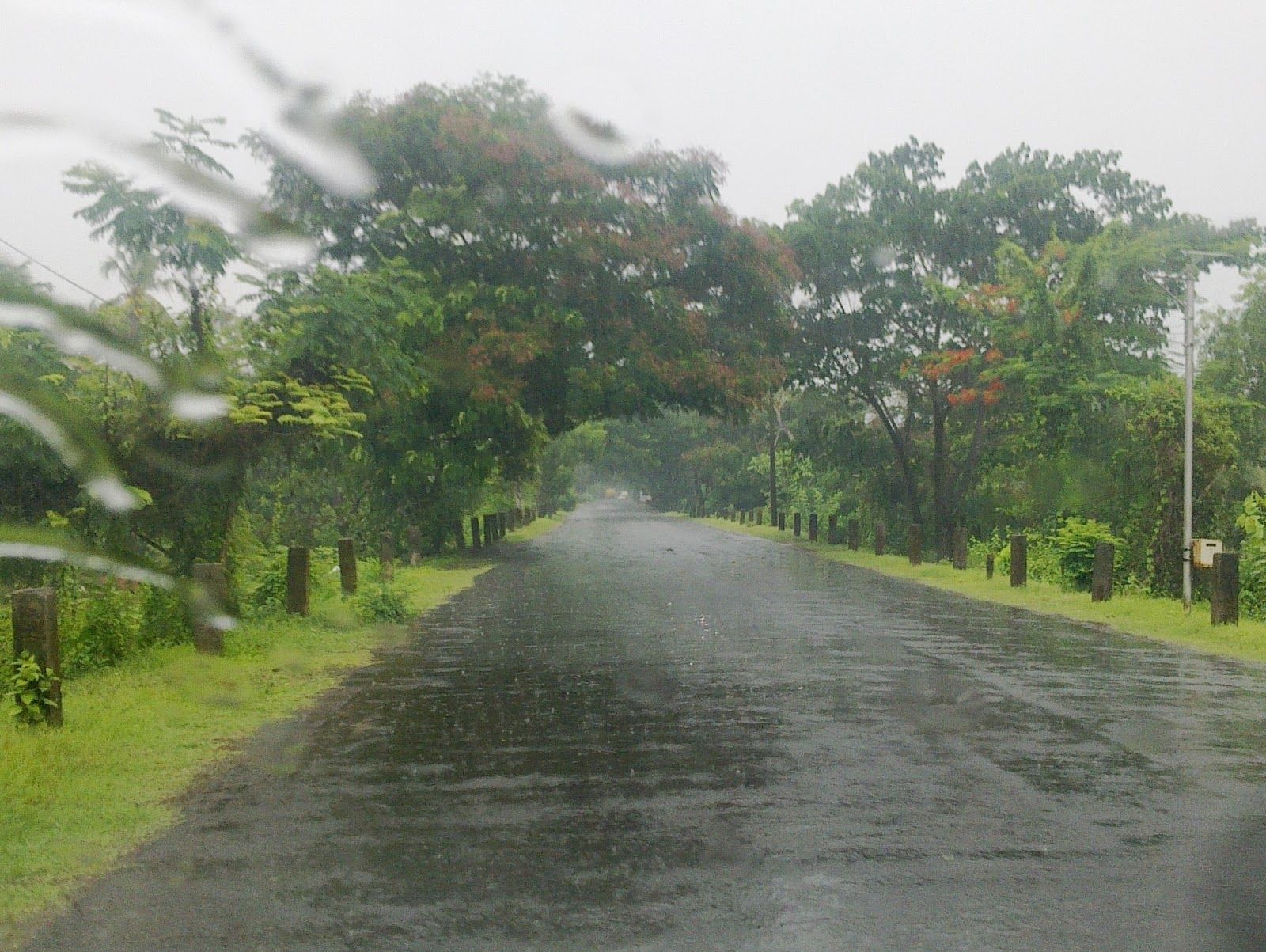 Kerala enjoys unique geographical features that have made it one of the most sought after touri. Beautiful photo of nature, Village photography, Rain photography