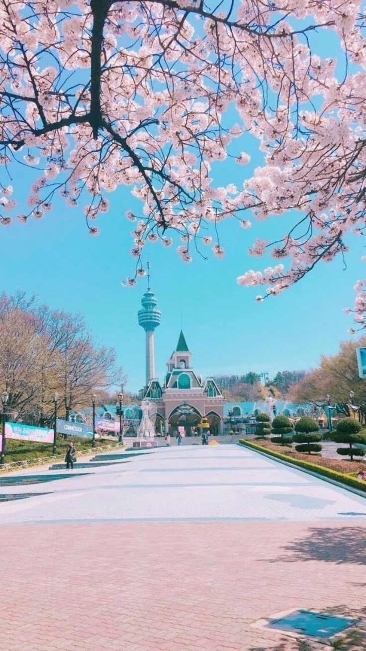 Paisaje asiático. Korea wallpaper, South korea photography, South korea seoul