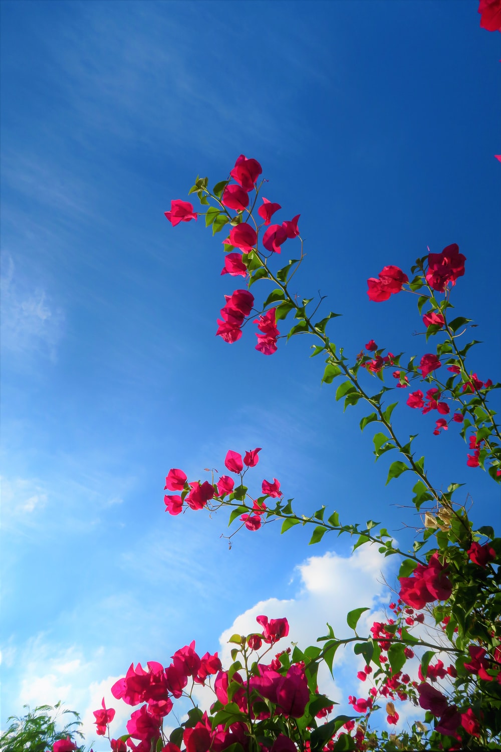 Spring Sky Picture. Download Free Image
