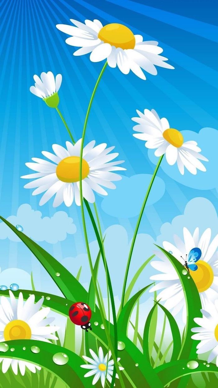 Painting Daisies Butterfly Ladybug Spring Background Image Blue Sky Phone Wallpaper. Spring Wallpaper, Beautiful Landscape Wallpaper, Beautiful Nature Wallpaper