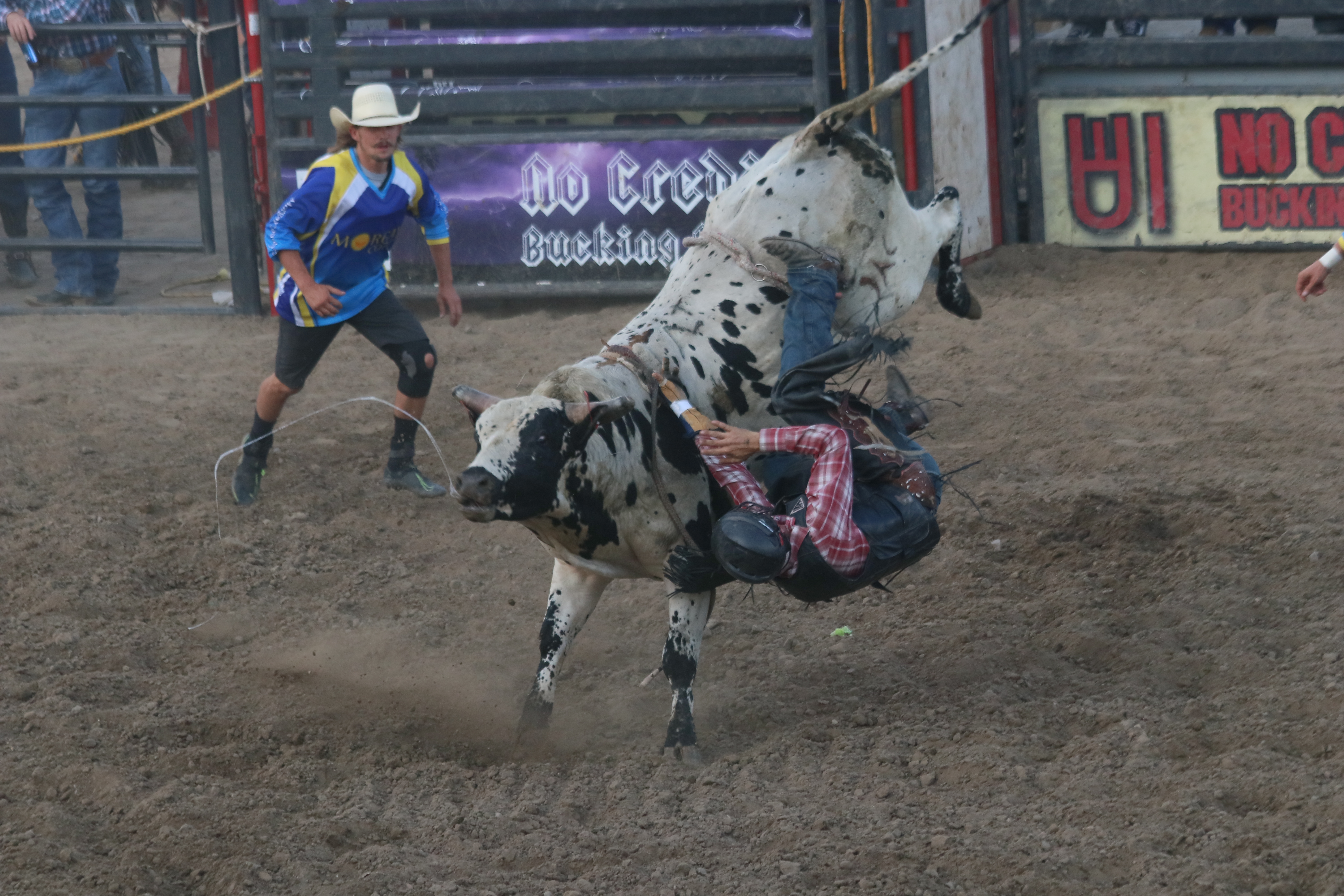 Buckers Unlimited bull riding drawing big names with big prizes