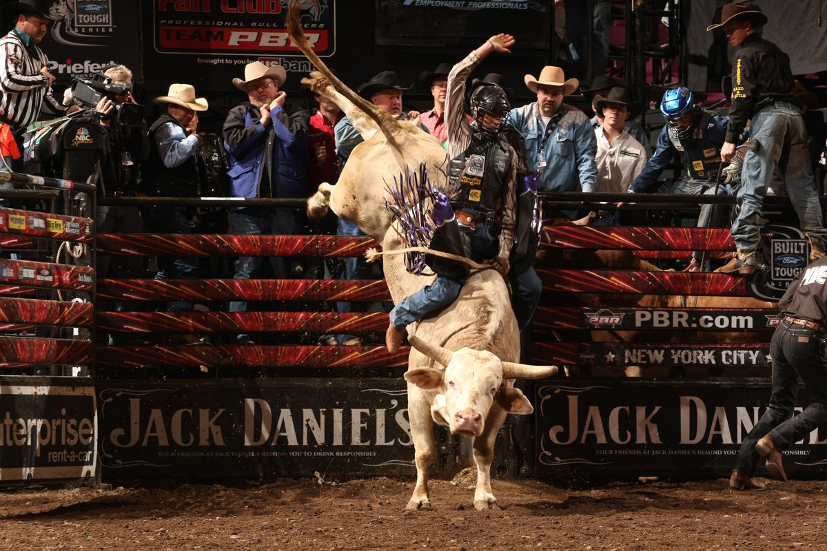 Pbr Bull Riding Wallpaper & Background Download