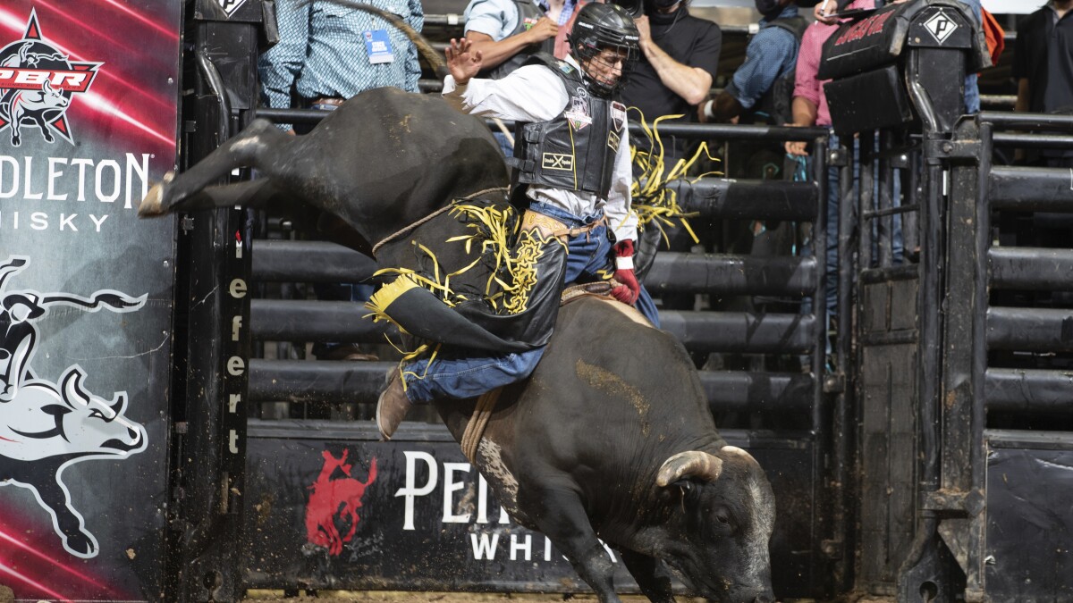 Bull rider dies after 'freak accident' at Fresno competition Angeles Times