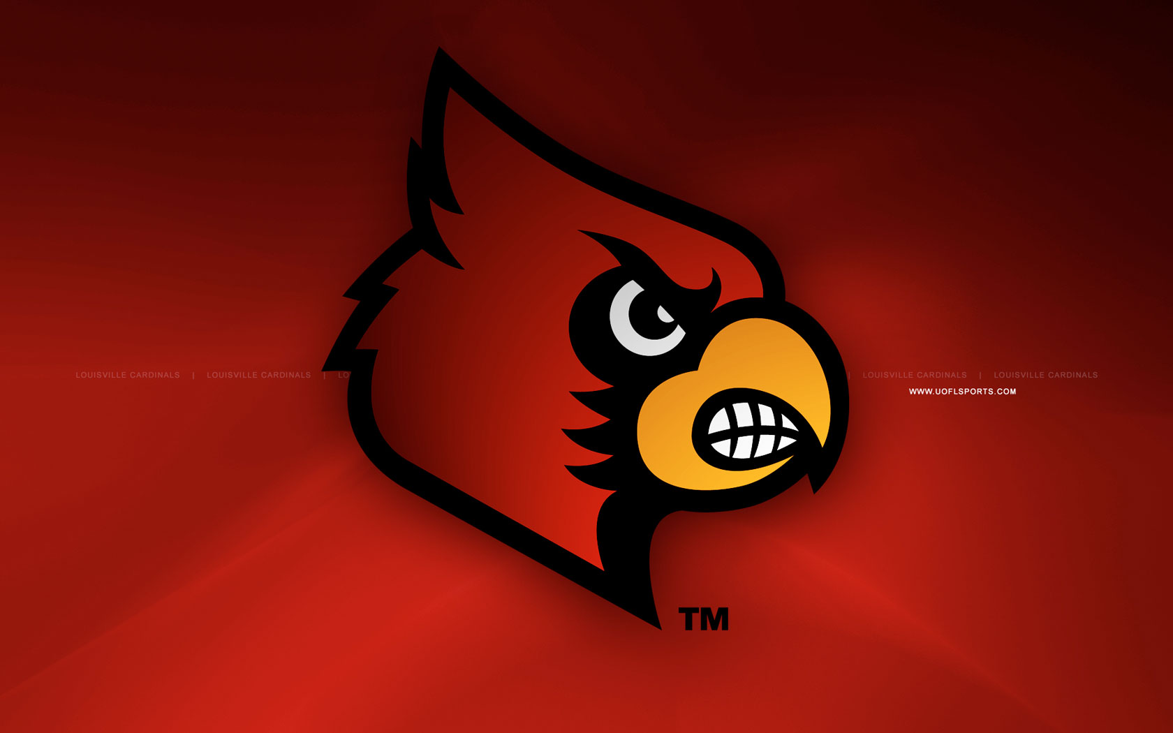 Free download Louisville Cardinals Mascot Wallpaper [1680x1050] for your Desktop, Mobile & Tablet. Explore Cardinals Wallpaper Football. St Louis Cardinals Wallpaper, AZ Cardinals Wallpaper Free, Louisville Cardinal Football Wallpaper