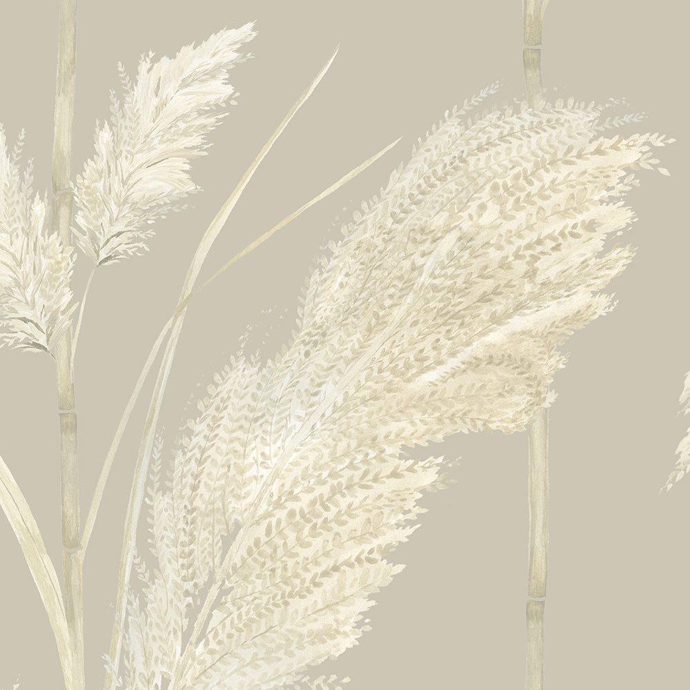 Pampas Grass Wallpaper Mckenzie