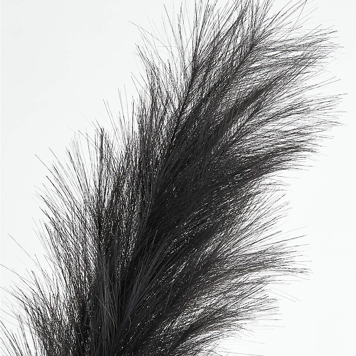 Black Faux Pampas Grass + Reviews. Crate & Barrel