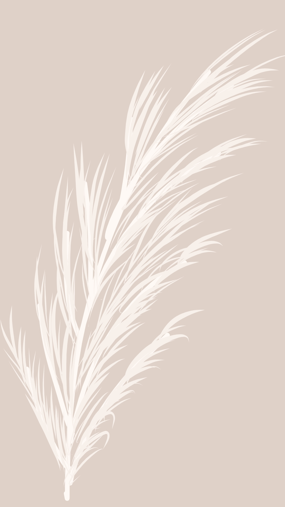 Pampas Grass Wallpapers - Wallpaper Cave