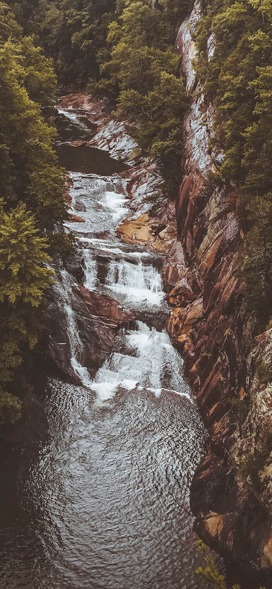 iPhone X wallpaper. mountain fall forest nature
