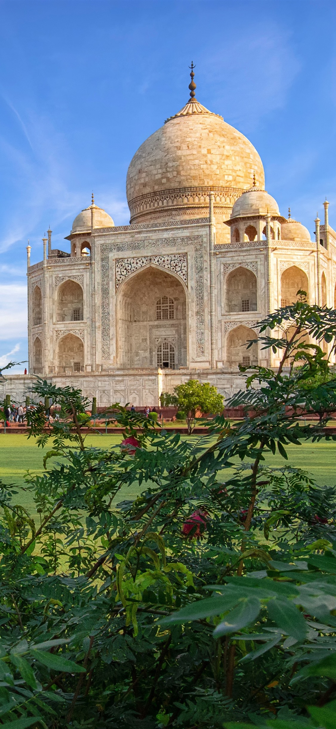 India, Taj Mahal, Mosque, Bushes 1242x2688 IPhone 11 Pro XS Max Wallpaper, Background, Picture, Image