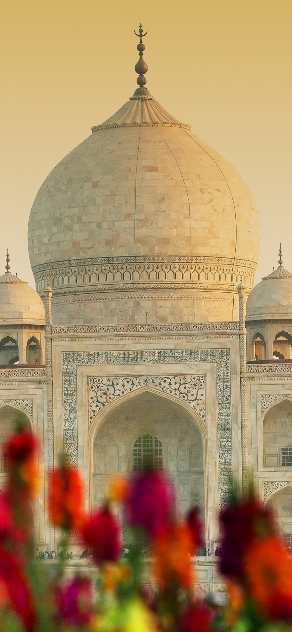 Taj Mahal Wallpaper 4K, Agra, India, UNESCO World Heritage Site, World