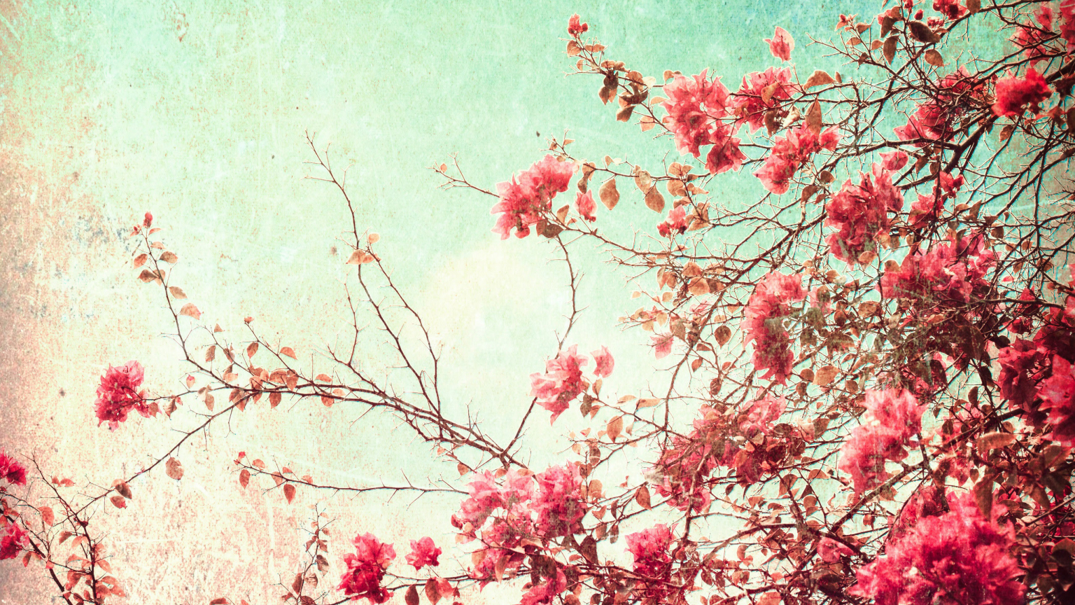 Free download Aesthetic Aesthetic Landscape Vintage Wallpaper iPhone Largest [2560x1558] for your Desktop, Mobile & Tablet. Explore Vintage Aesthetic Landscape Wallpaper. Aesthetic Wallpaper, Landscape Background, Landscape Wallpaper