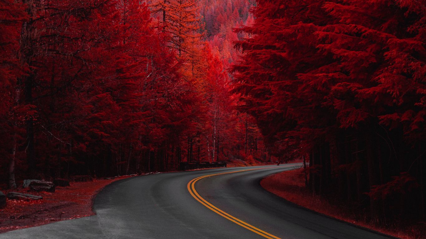 Download wallpaper 1366x768 road, turn, trees, red, mountain, landscape tablet, laptop HD background