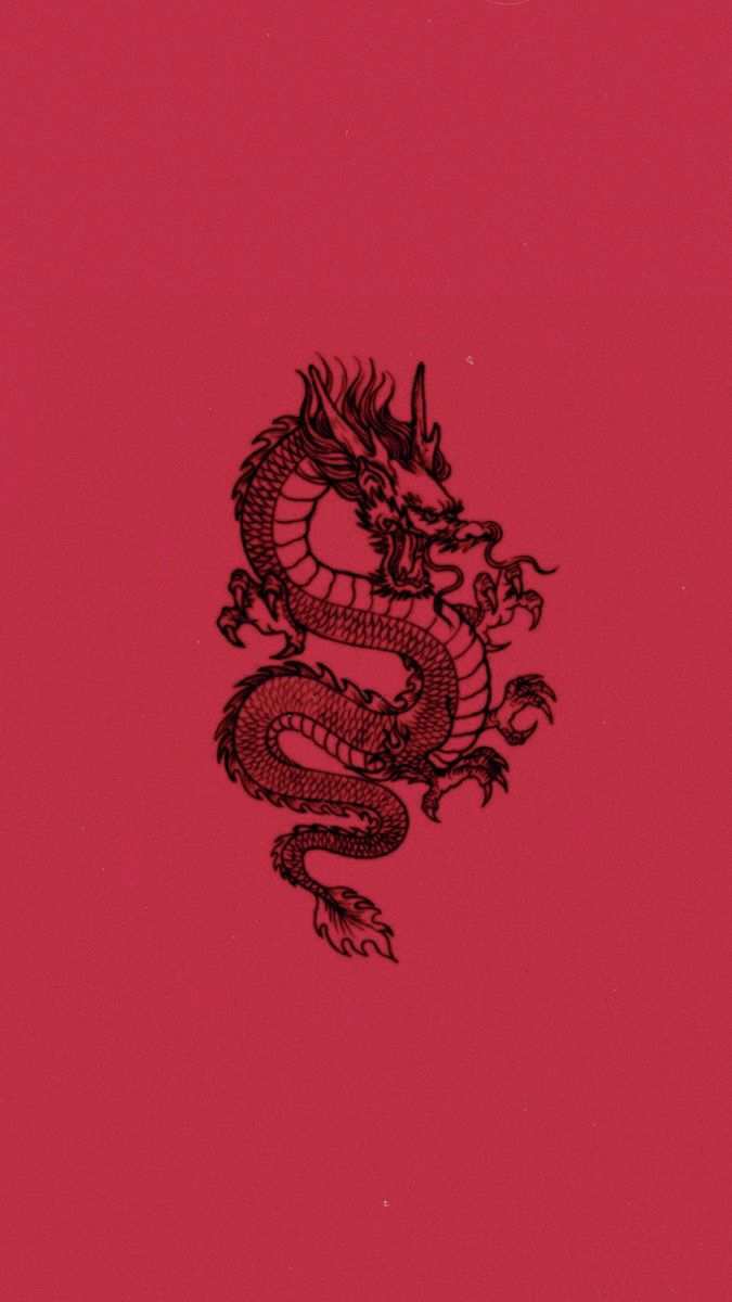 Aesthetic Dragon Wallpaper