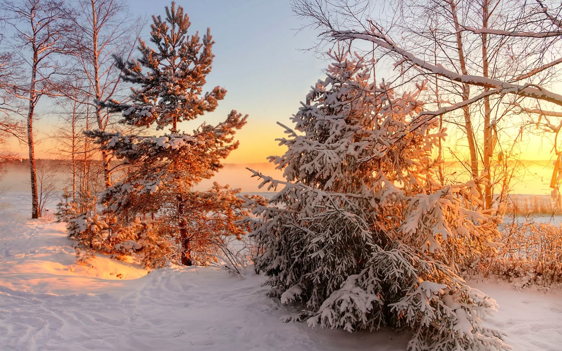 Snow Sunset Wallpaper