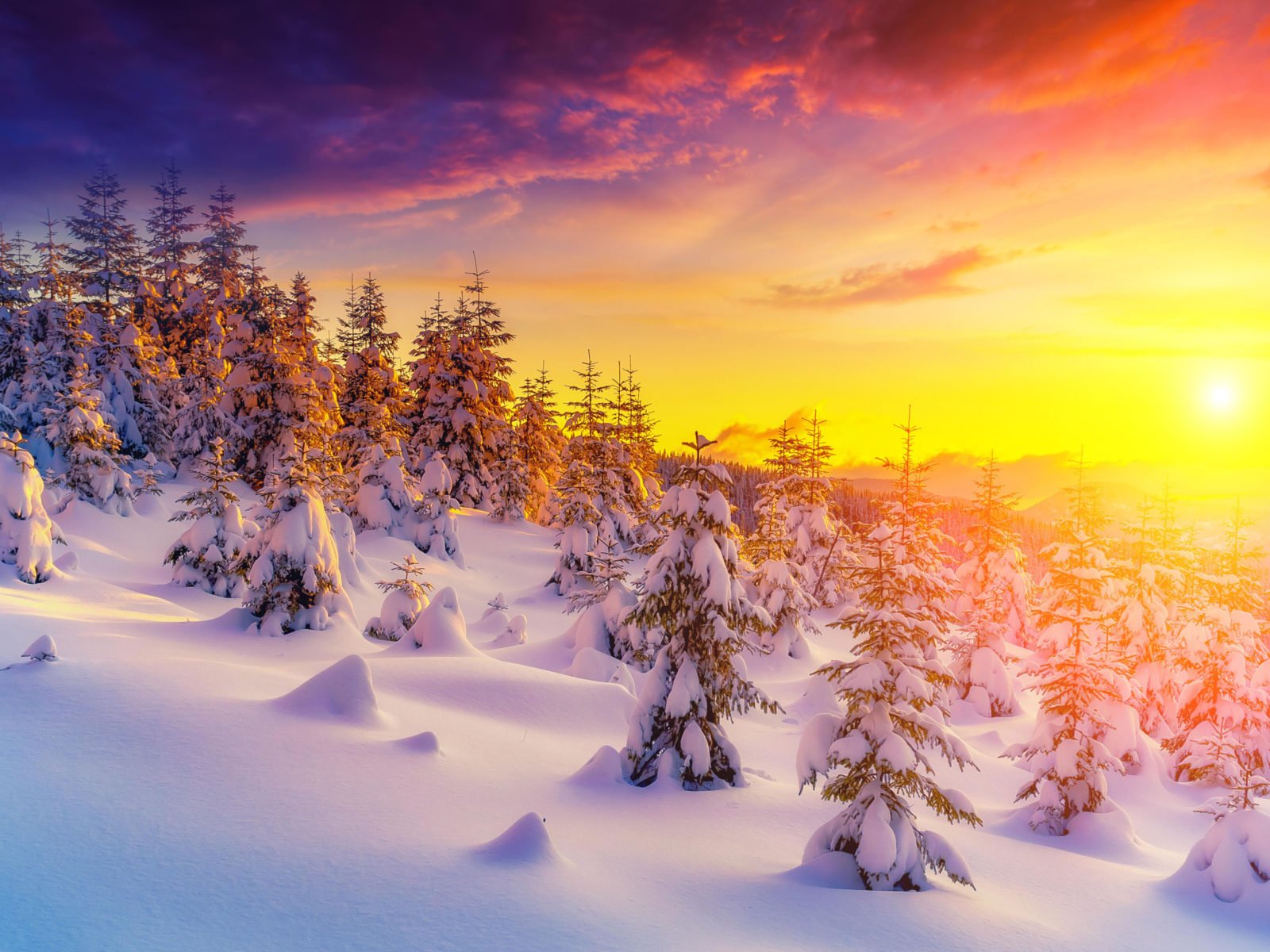 Winter Tree Sunset Wallpapers - Wallpaper Cave