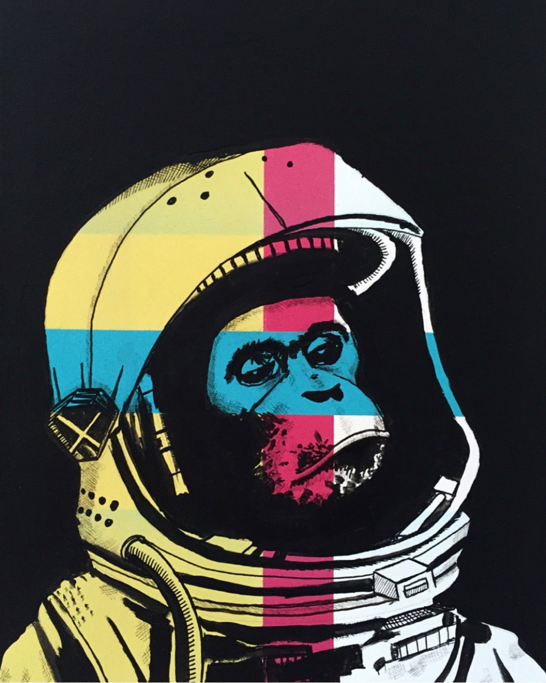 Space Monkey 2