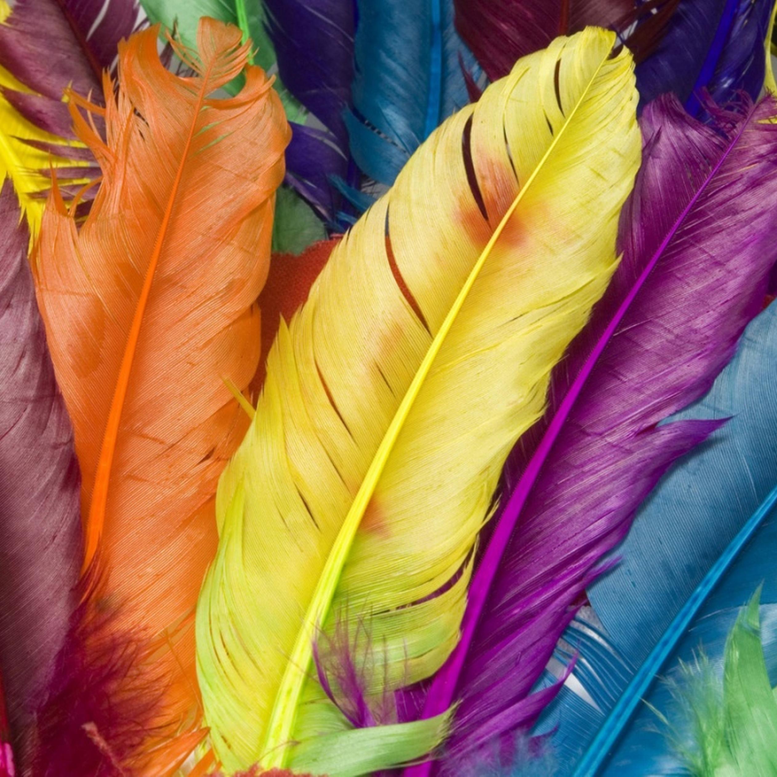  120pcs Colorful Goose Feathers for DIY Crafts, Jewelry