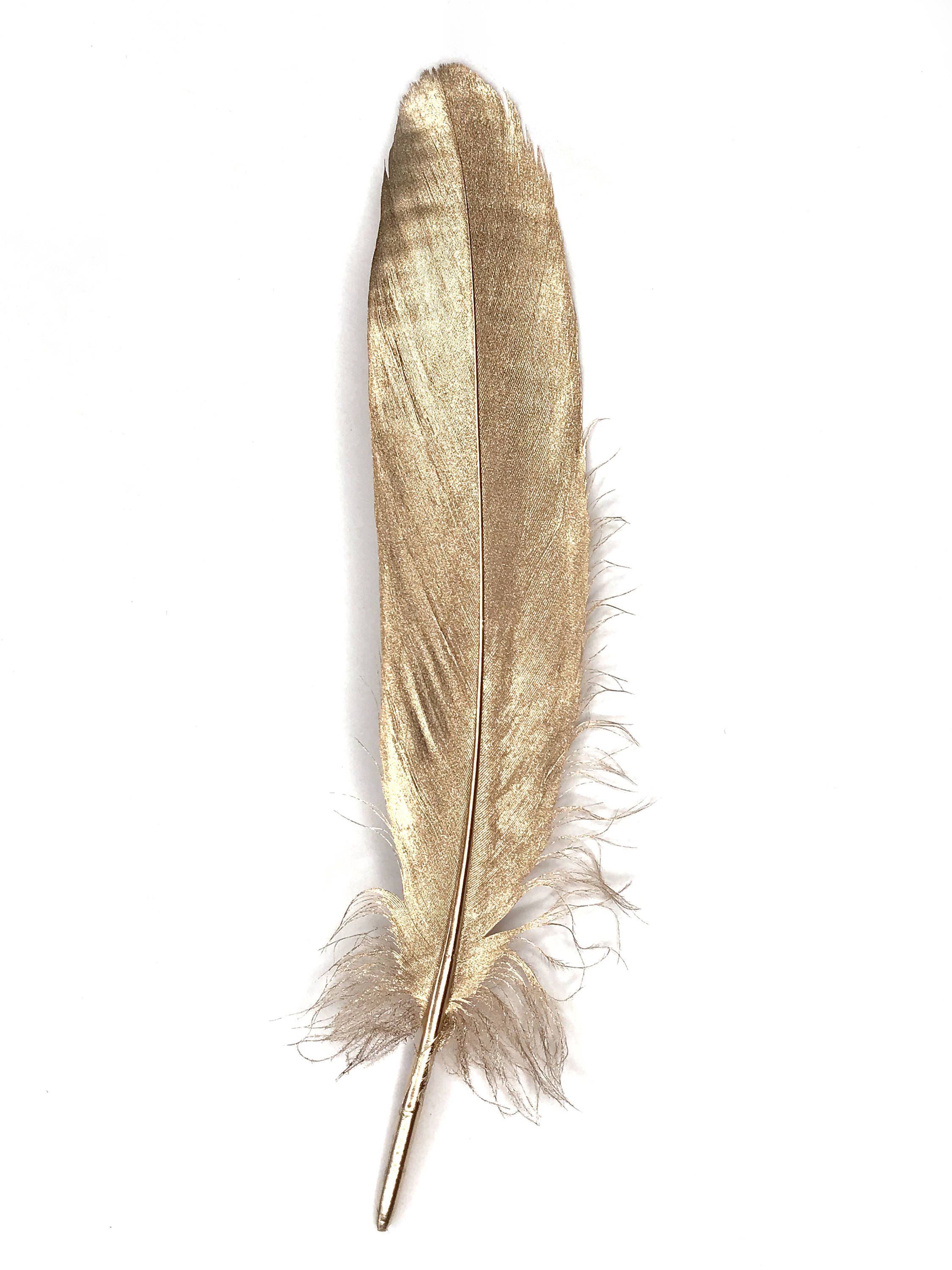 Gold Large Goose Wing Feathers 6 8 Hand Painted. Etsy. Gold Feathers, Metallic Gold Paint, Feather