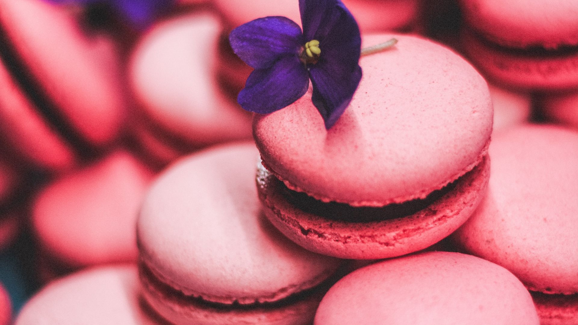 Pink Macarons Wallpapers - Wallpaper Cave