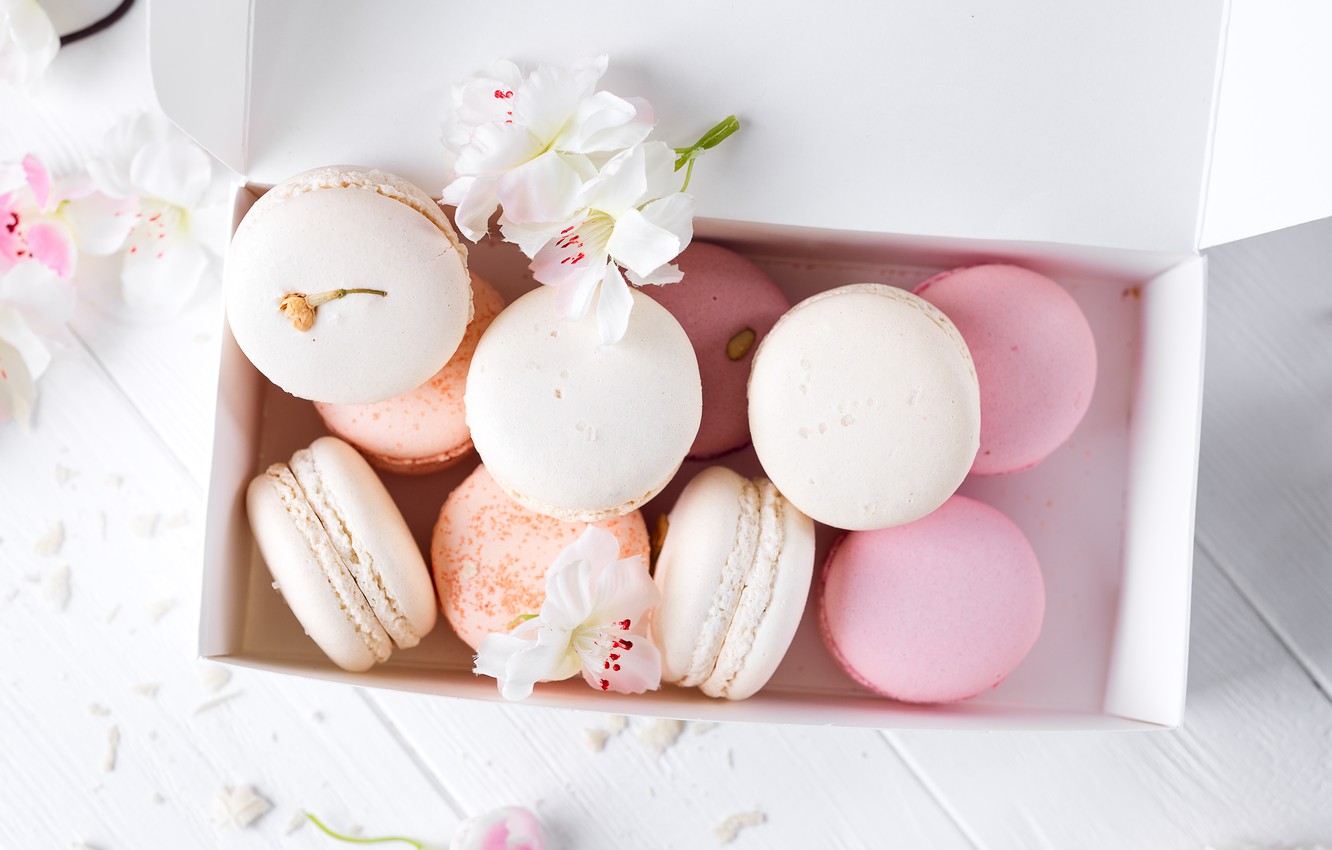 Macaron Mobile Wallpaper Images Free Download on Lovepik | 400303139