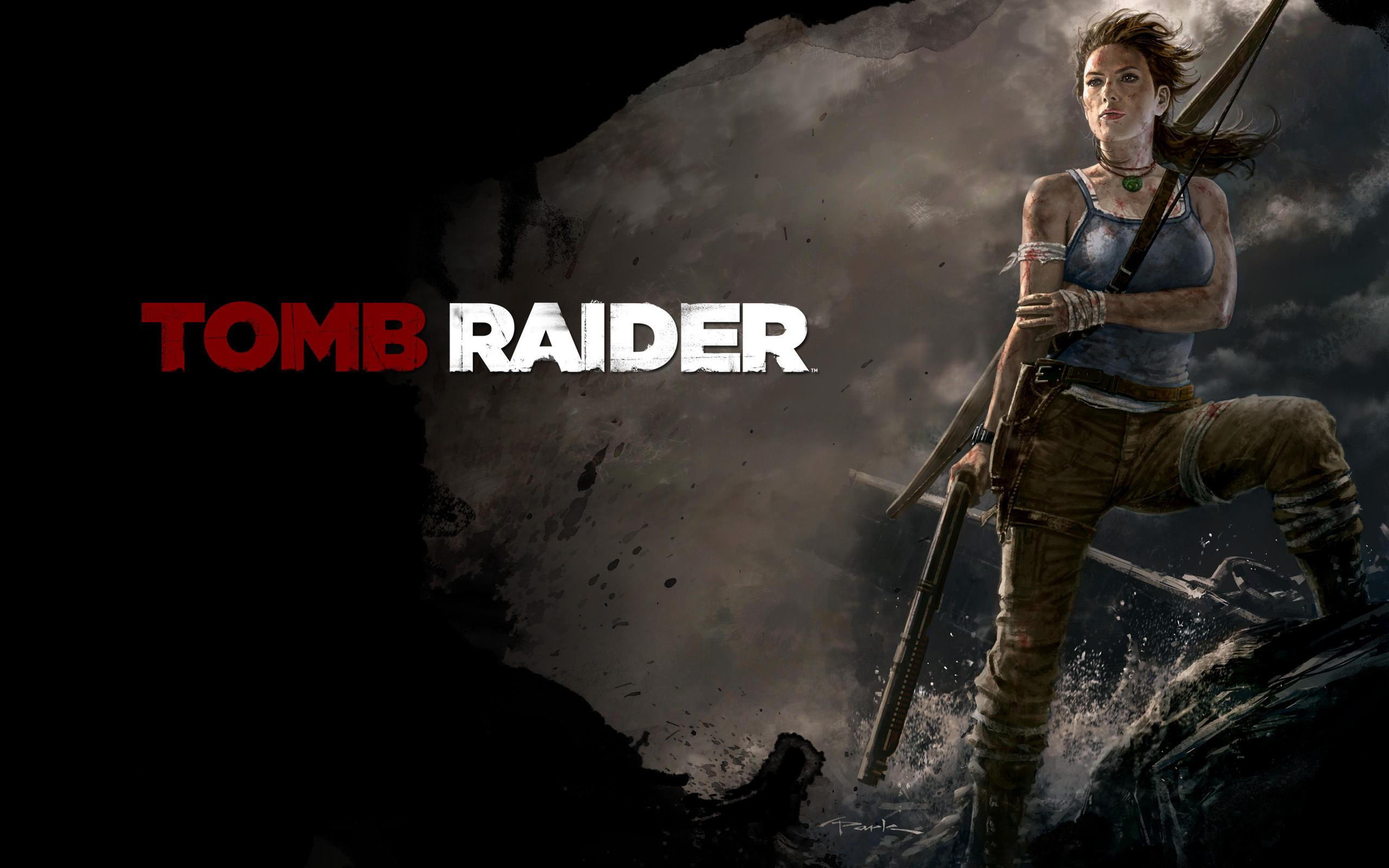 Tomb Raider 2013 Video Game Wallpaper