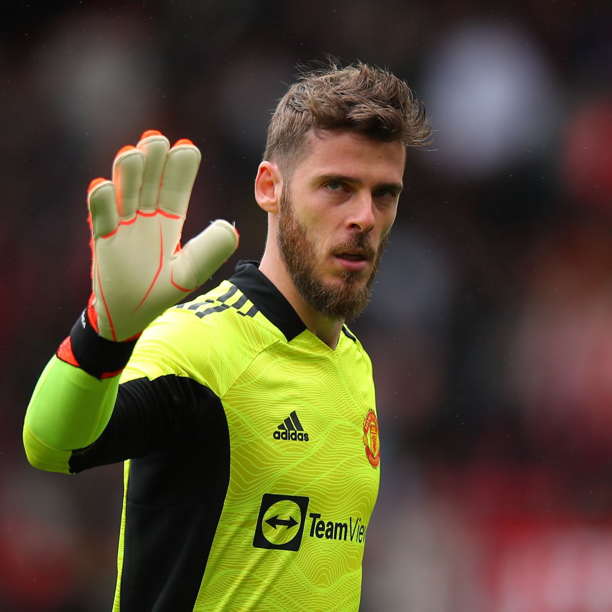 David de Gea gives verdict on new Manchester United signings Evening News