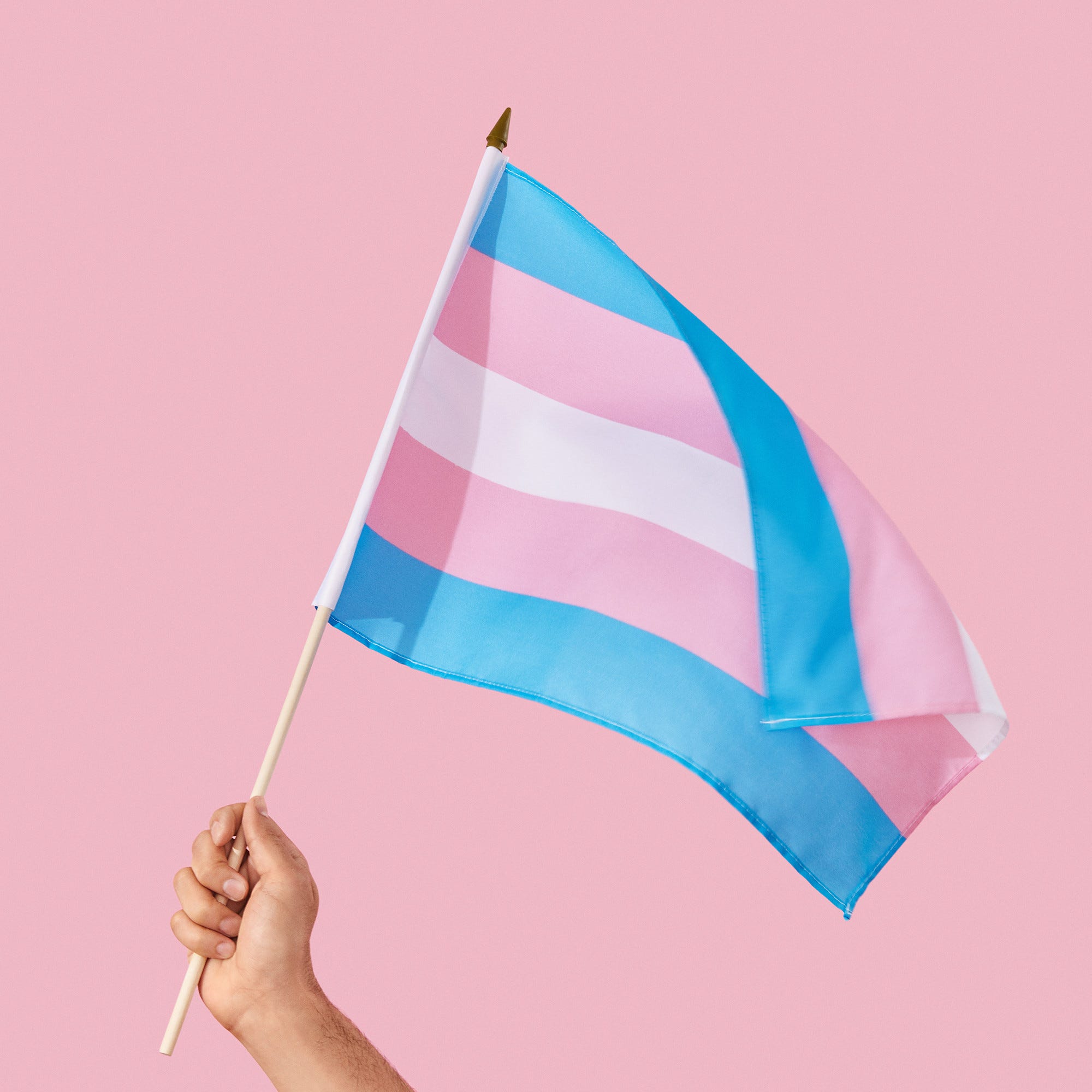 LGBTQ Definitions Gender Identity, Sexual Orientations