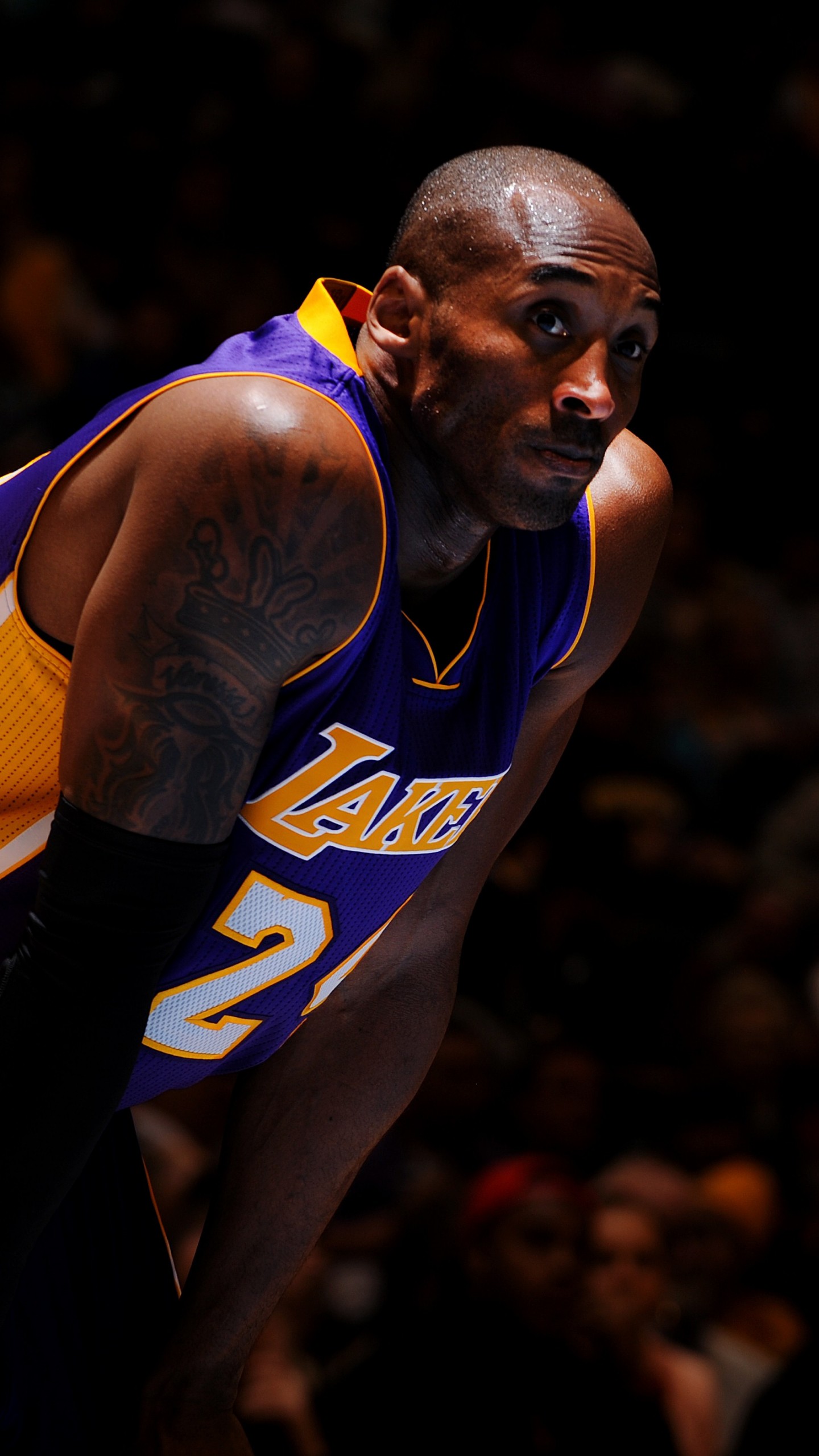 Wallpaper NBA, Kobe Bryant, Best Basketball Players of Los Angeles Lakers, basketball player, Shooting guard, Sport