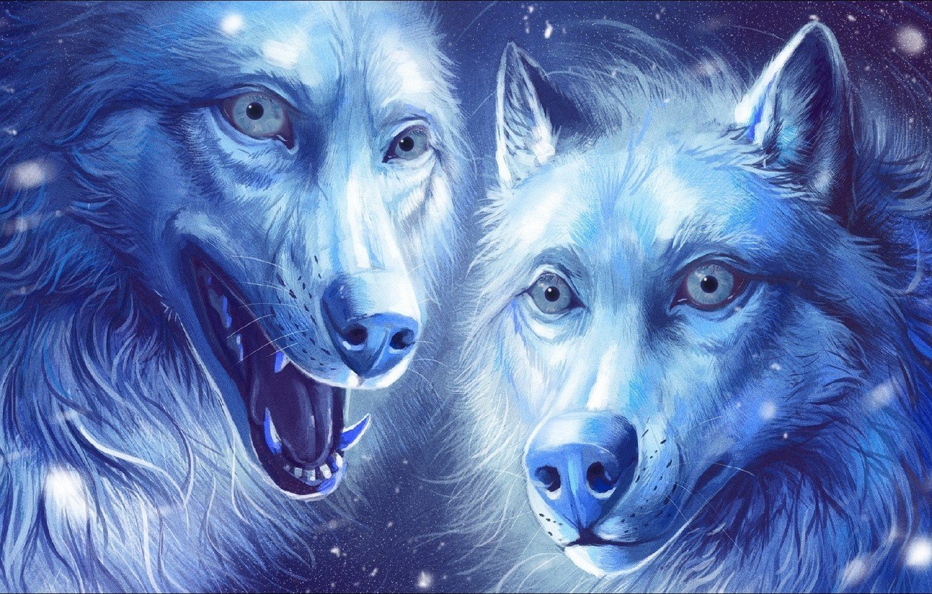 Wallpaper fantasy, Art, two, wolves image for desktop, section арт