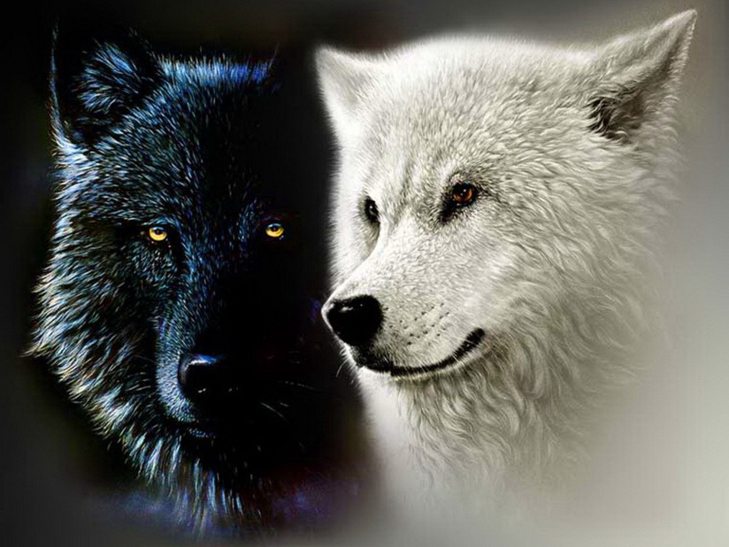 Picture Wolves Two Animals Painting Art 2560x1440